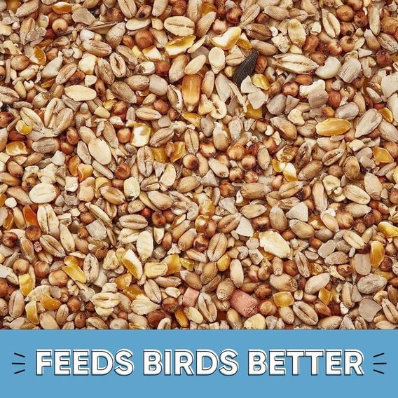 Happy Beaks - Robin & Songbird Wild Bird No Mess Seed Mix